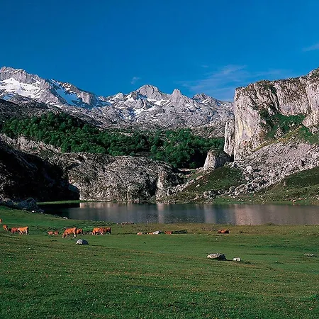 El Relax Del Sella Onís