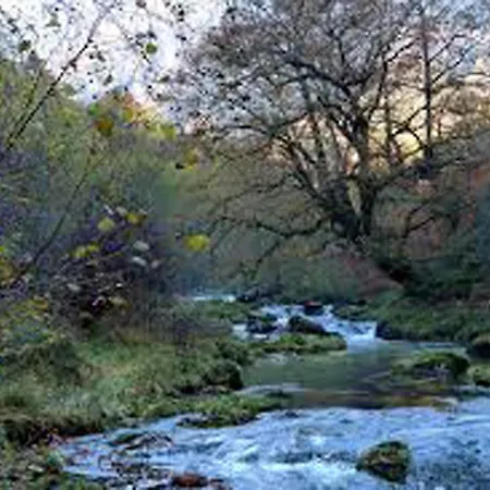 アパート El Relax Del Sella Onís